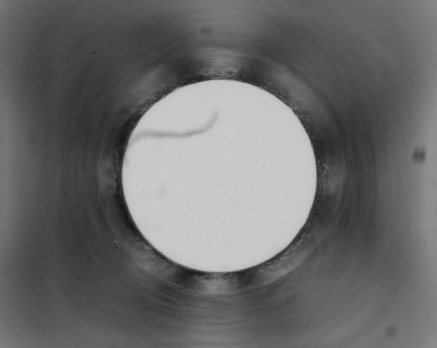 X0000101660370200808071027