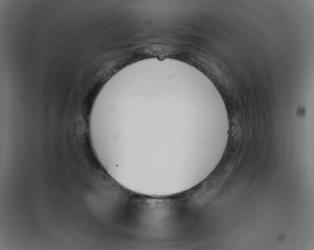X0000101660371200808071027