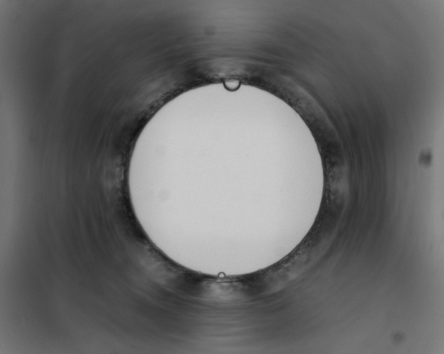 X0000101660372200808071027