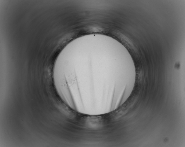 X0000101660373200808071027
