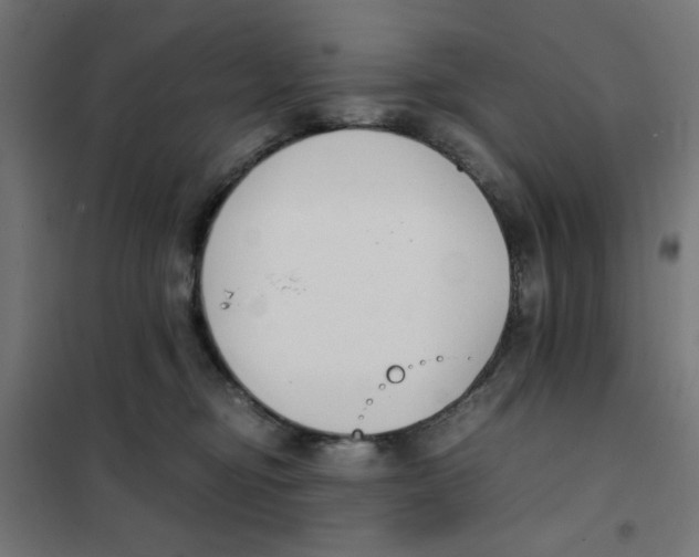 X0000101660374200808071027