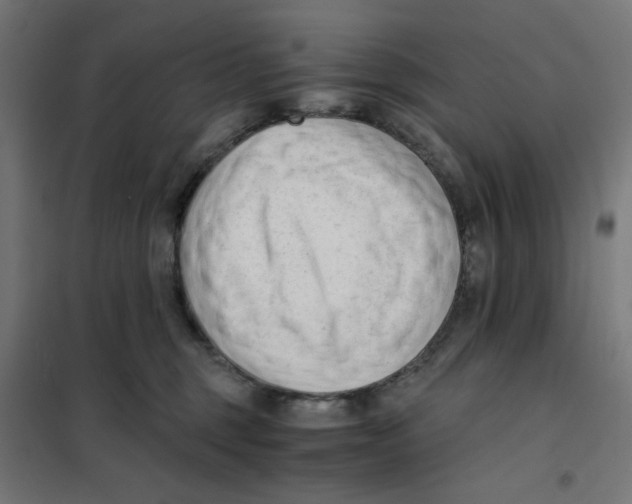 X0000101660375200808071027
