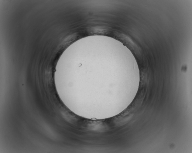X0000101660377200808071027