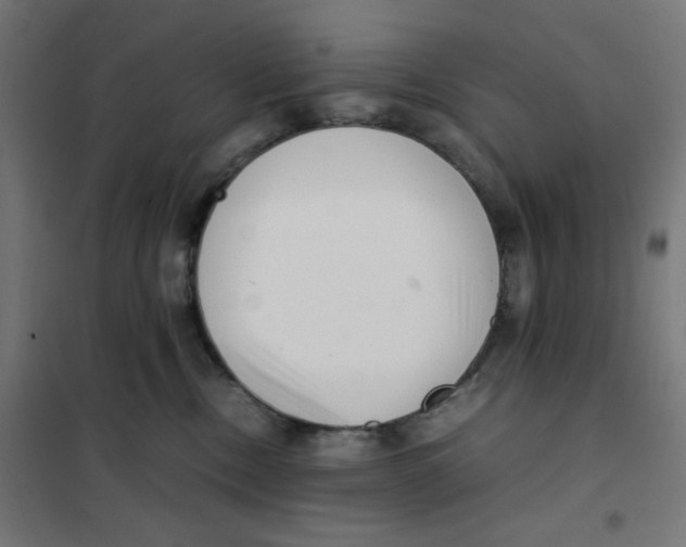 X0000101660378200808071027