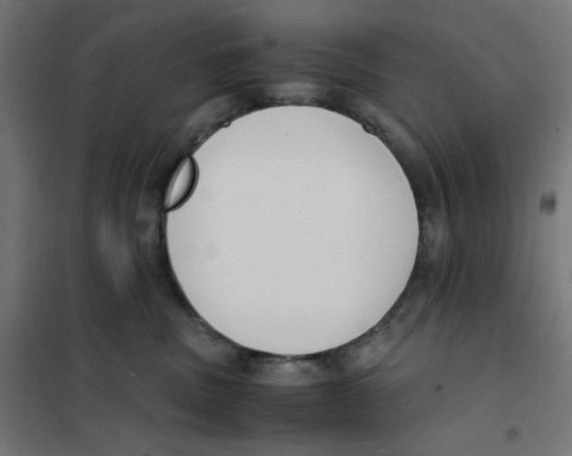 X0000101660379200808071027