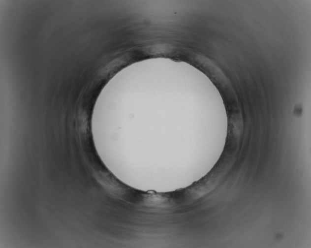 X0000101660380200808071027