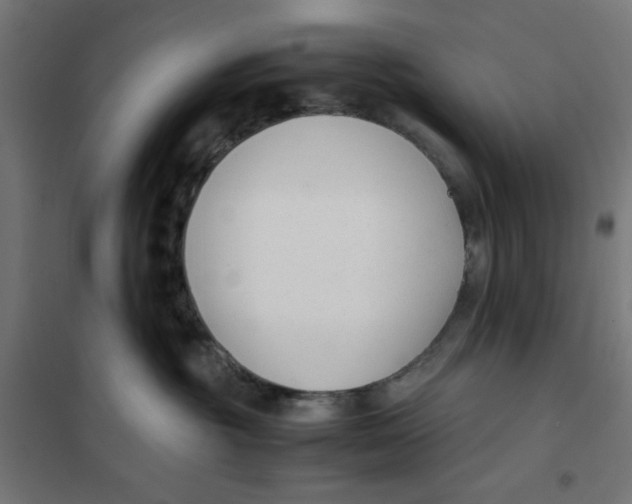 X0000101660381200808071027