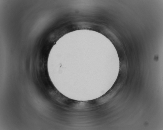 X0000101660382200808071027