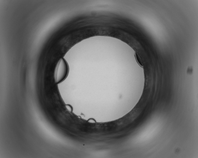 X0000101660383200808071027