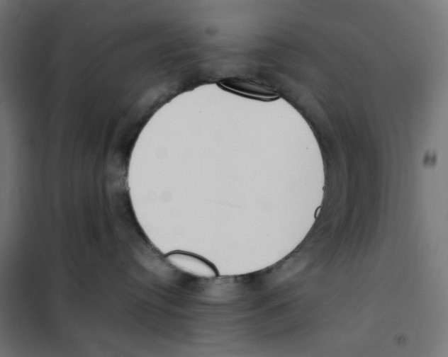 X0000101660384200808071027