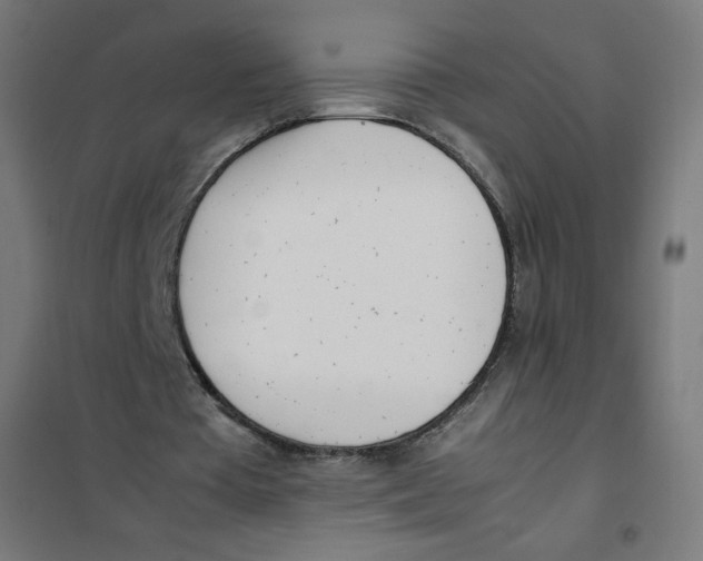 X0000101660385200808071026