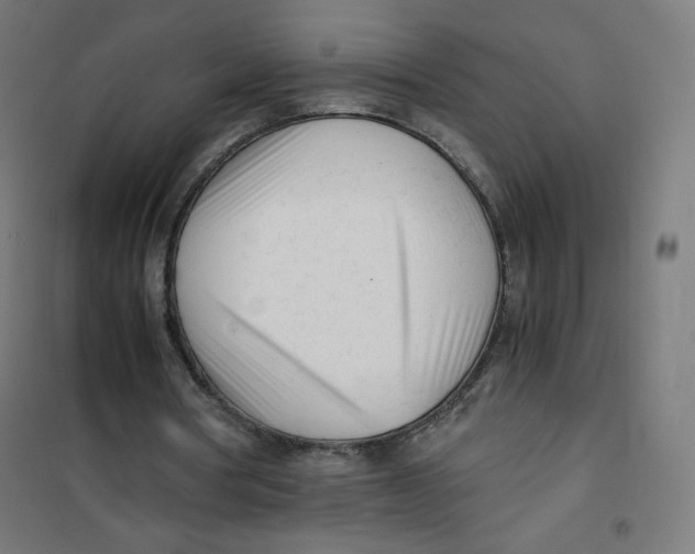 X0000101660386200808071026