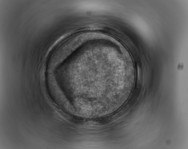 X0000101660387200808071026