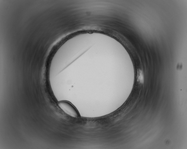 X0000101660388200808071026