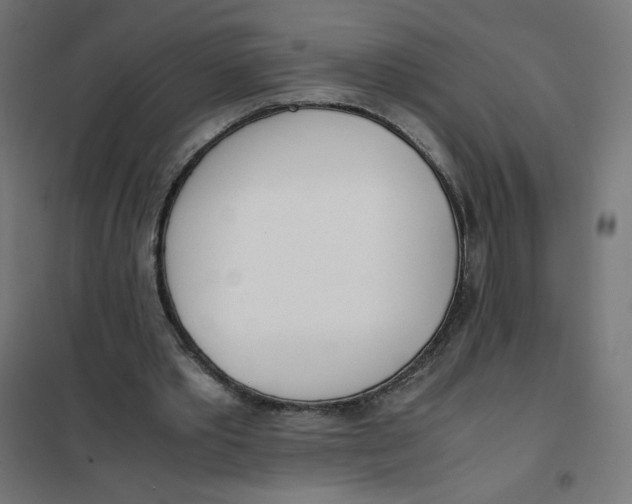 X0000101660389200808071026