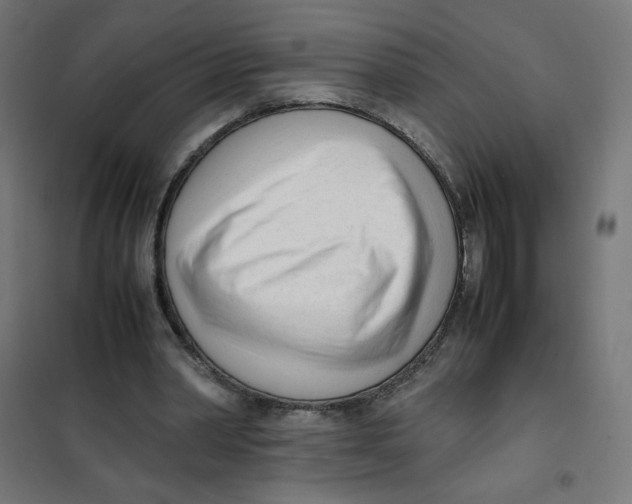 X0000101660390200808071026