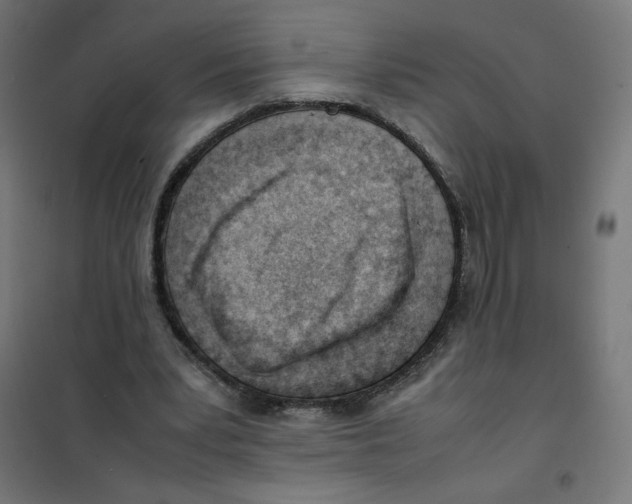 X0000101660391200808071026