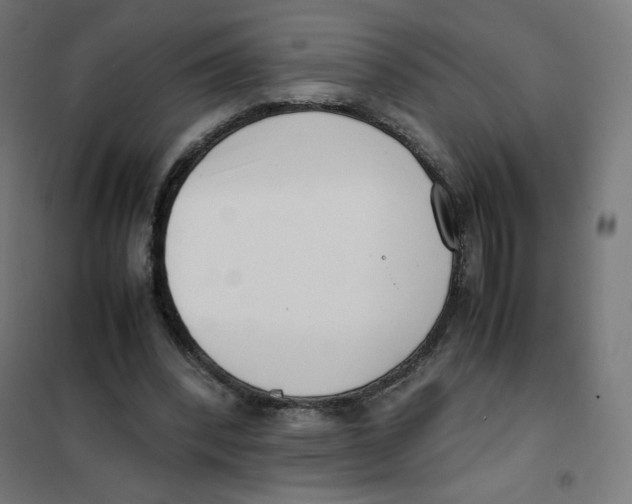 X0000101660392200808071026