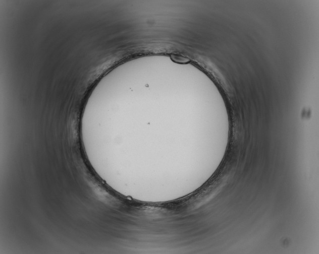 X0000101660393200808071026