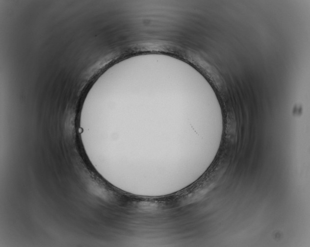 X0000101660394200808071026