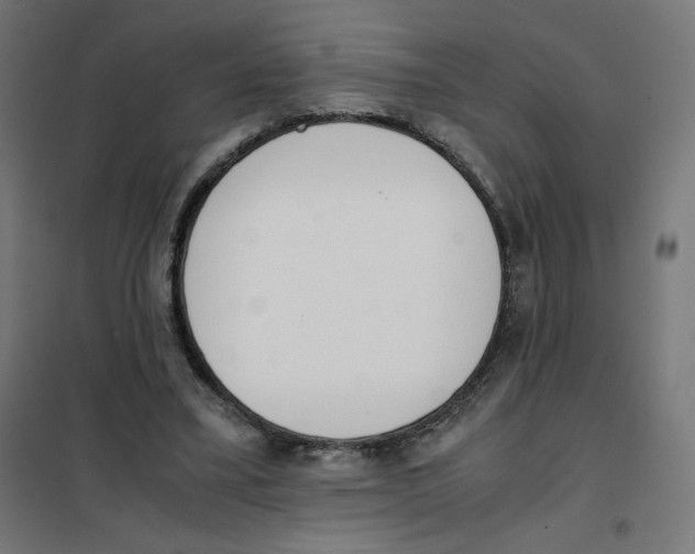 X0000101660395200808071026