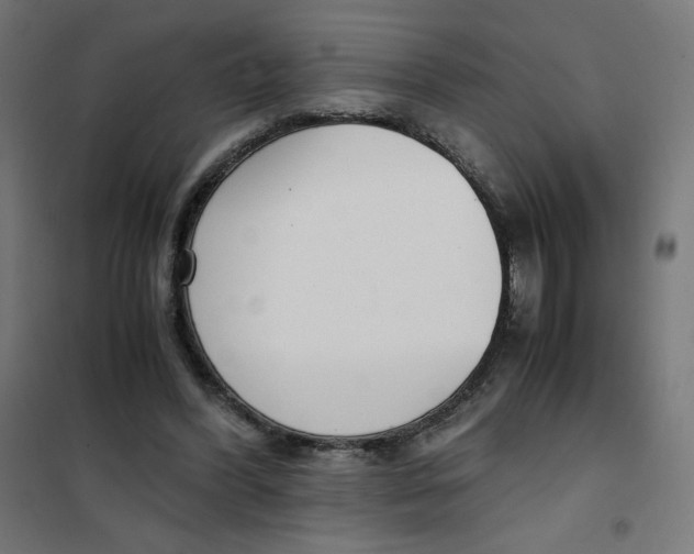 X0000101660396200808071026