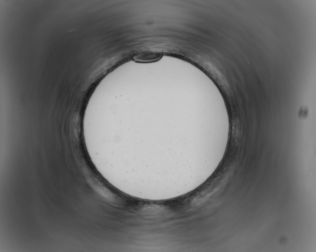 X0000101660397200808071026
