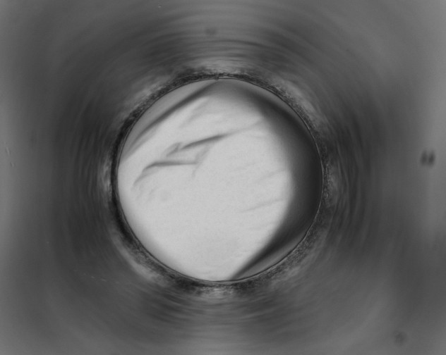 X0000101660398200808071026