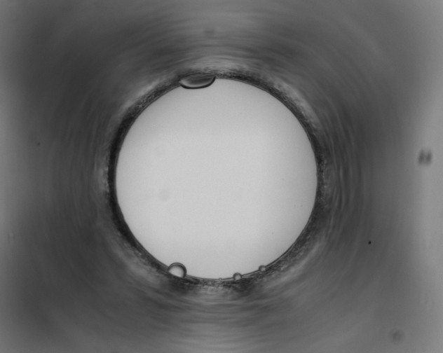 X0000101660399200808071026