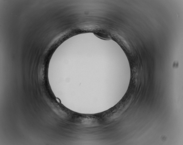 X0000101660400200808071026
