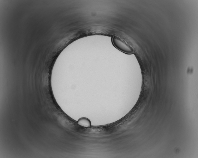 X0000101660401200808071026