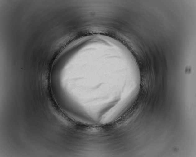 X0000101660402200808071026