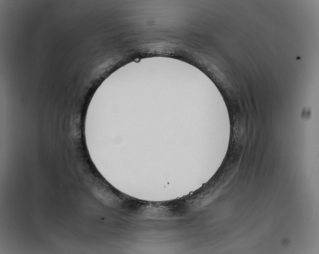 X0000101660403200808071026