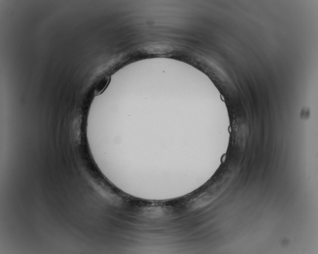 X0000101660404200808071026