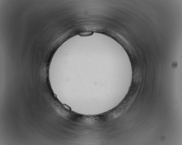 X0000101660405200808071026