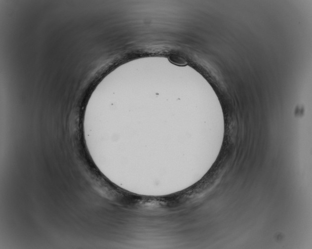 X0000101660407200808071026
