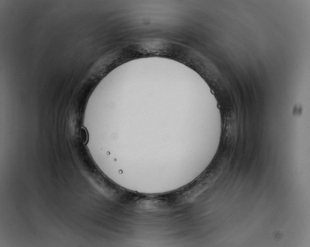 X0000101660408200808071026