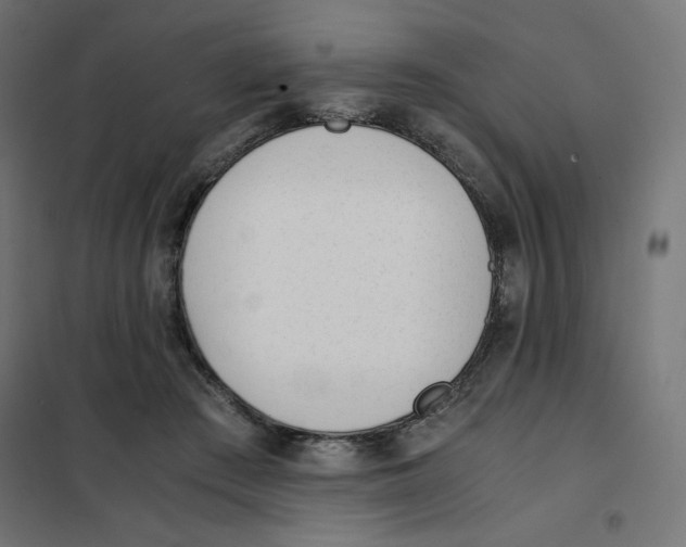 X0000101660409200808071026