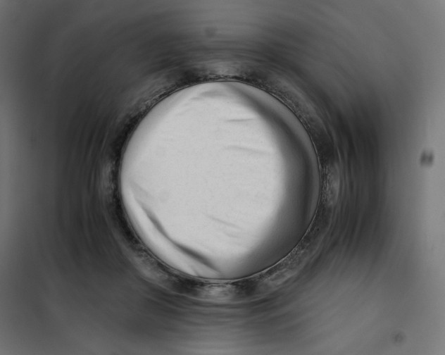 X0000101660410200808071026