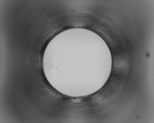 X0000101660411200808071026