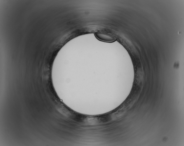 X0000101660413200808071026