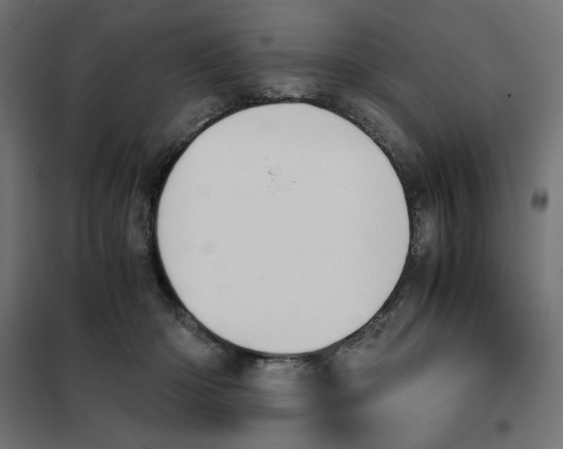 X0000101660414200808071026