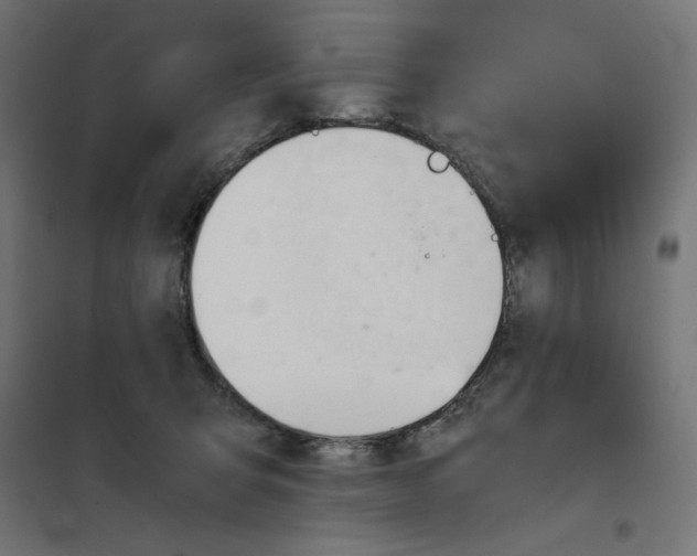 X0000101660415200808071026