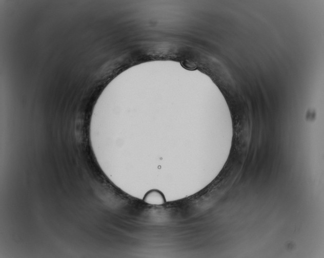 X0000101660416200808071026