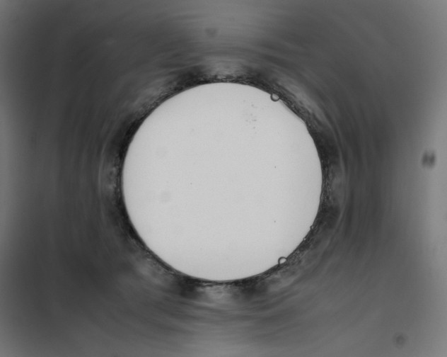 X0000101660417200808071025