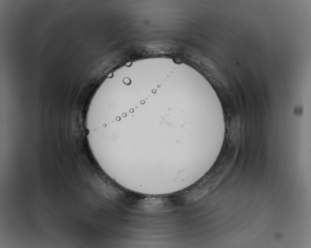 X0000101660418200808071025