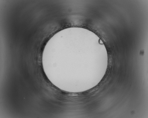 X0000101660419200808071025