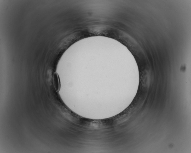 X0000101660420200808071025
