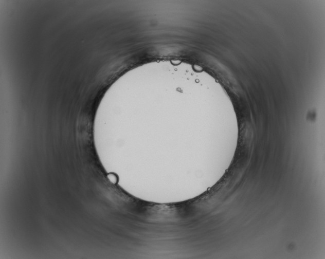 X0000101660421200808071025