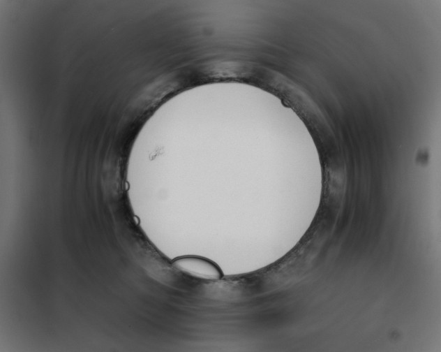 X0000101660422200808071025